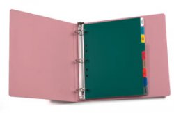 Dialysis 19- Tab Poly Standard Title Divider Set
